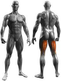 Trauma dell'Hamstring: cause e sintomi. A cura del Dott. Mattia Castellani