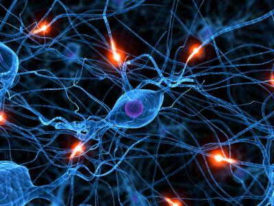 Soffri di cervicobrachialgia? Consulta il nostro articolo...