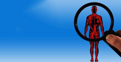 Le arterie: anatomia, patologie e rimedi shock absorbing