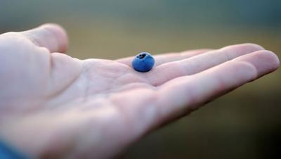 Encondroma: cause, sintomi frequenti e trattamenti..