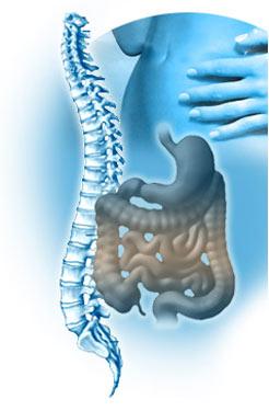 Osteopatia: di cosa si tratta?