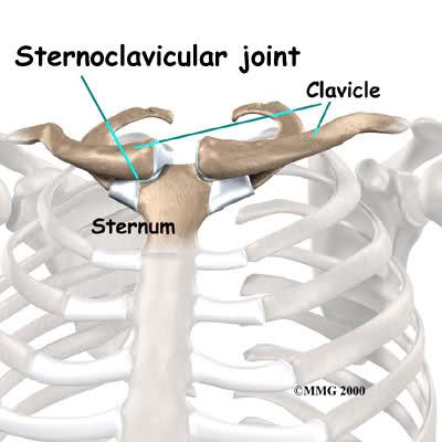 Lo sterno: anatomia, patologie e rimedi shock absorbing
