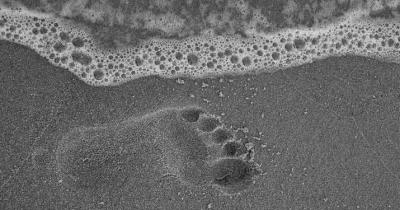La pianta del piede: anatomia, patologie e rimedi shock absorbing