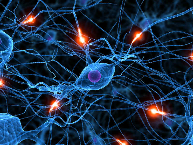 Soffri di cervicobrachialgia? Consulta il nostro articolo...