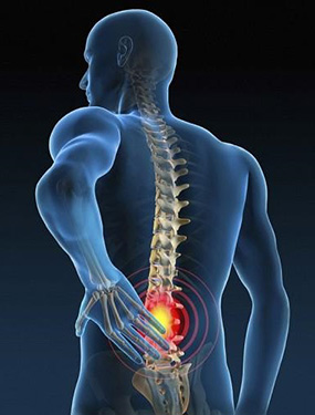 La schiena: anatomia, patologie e rimedi antishock