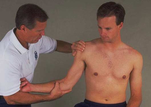 L’omero: anatomia, patologie e rimedi shock absorbing