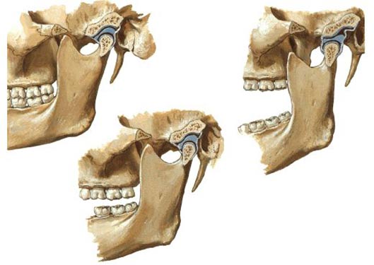 L’articolazione temporo-mandibolare: anatomia, patologie e rimedi shock absorbing