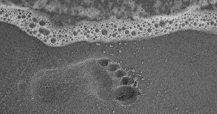 La pianta del piede: anatomia, patologie e rimedi shock absorbing