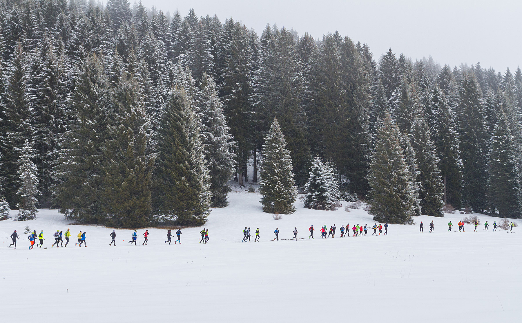 Uno strepitoso Luca Miori quarto alla impegnativa Dolomiti Winter Trail!